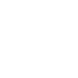 down arrow icon white