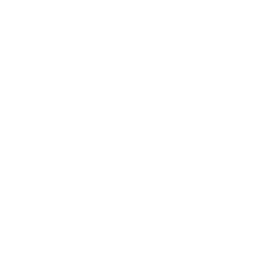 inventory icon