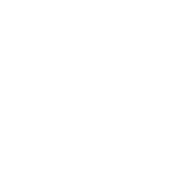 cash icon png