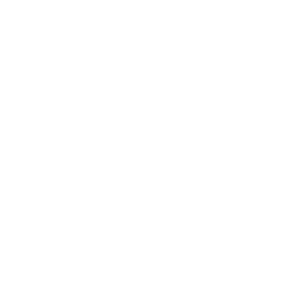 Adidas icon hot sale