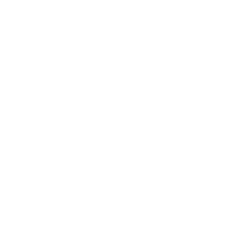 amd radeon icon