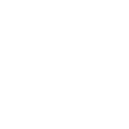 Flat Crocs Icon 