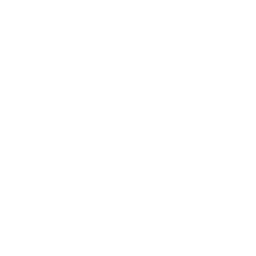 flat instagram logo