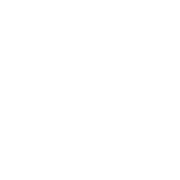 broadcast icon