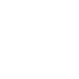 Flat Apple core Icon - Flaticons.net