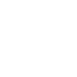 Flat Film Reel Icon 