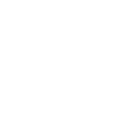 black gear icon