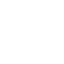 flat map icon