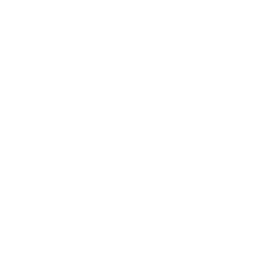 spiderman icon png