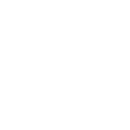 flat globe icon