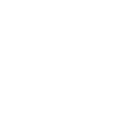 cleaning icon