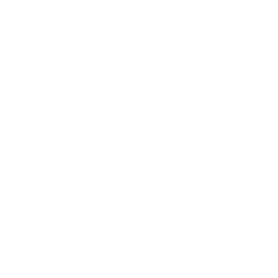 microsoft office excel icon