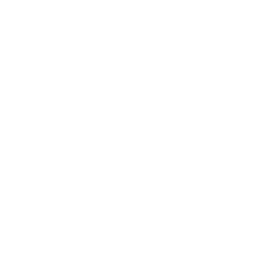 microsoft access icon