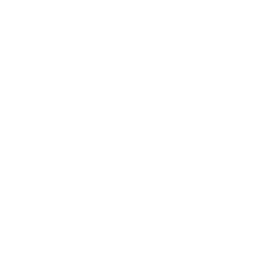 word icon png