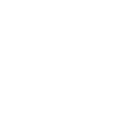 chef icon png