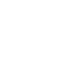 flat shopping cart icon