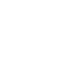 chess king