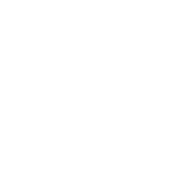 Chess Queen icon