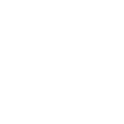 hen icon png